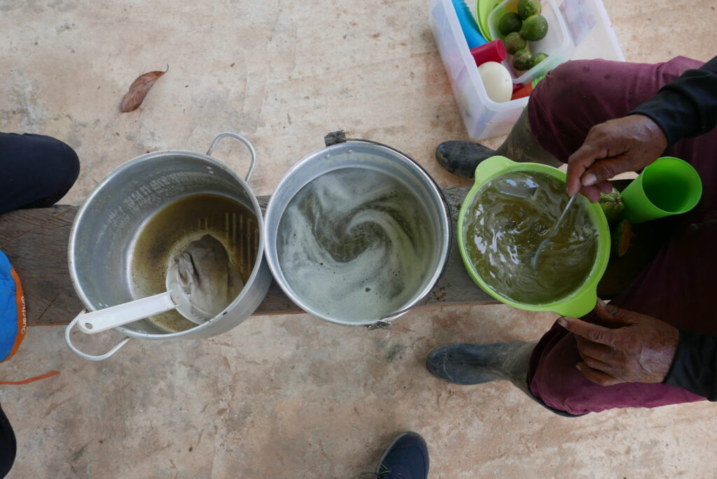 Making sugar cane lemonade with cane cut on the farm. Photo: Steve Hide