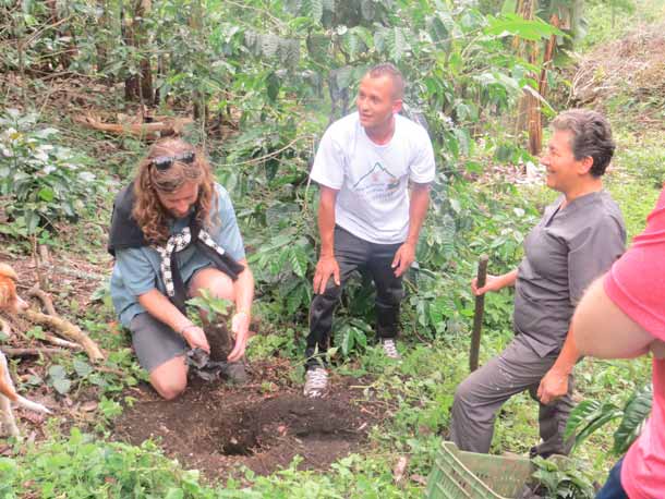 ecotourism Colombia, Coffee Tours Colombia