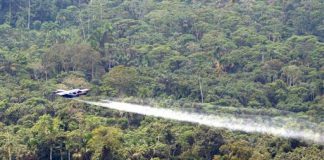 Coca spraying in Colombia