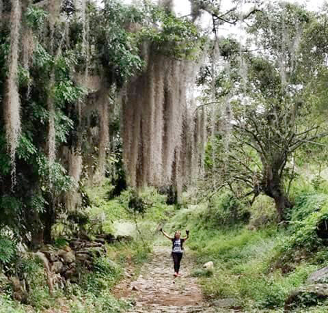 Running in Bogota, Chichamocha Canyon run