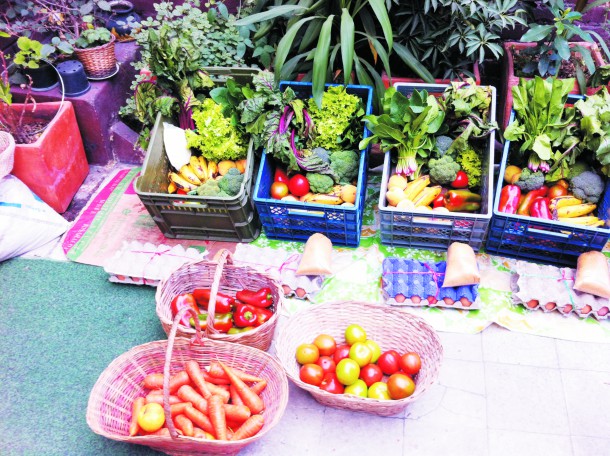 Bogota Organic Food, Bogota Organic Markets