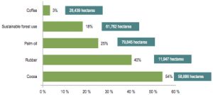 Colombia coca production