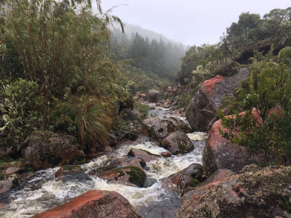 Colombia páramo, Guasca, páramos