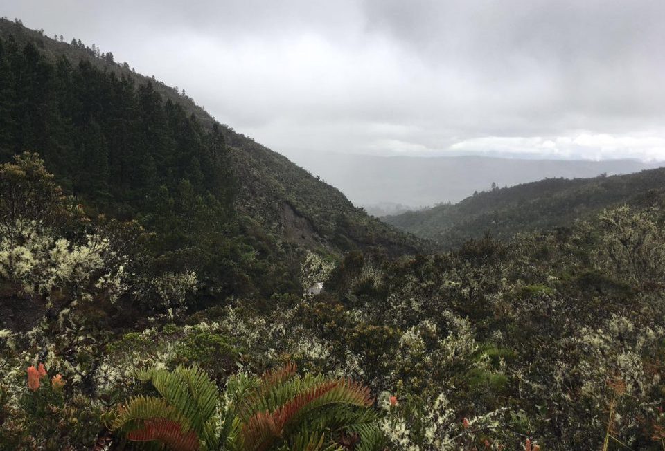 Colombia páramo, Guasca, páramos