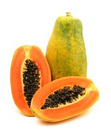 dar papaya