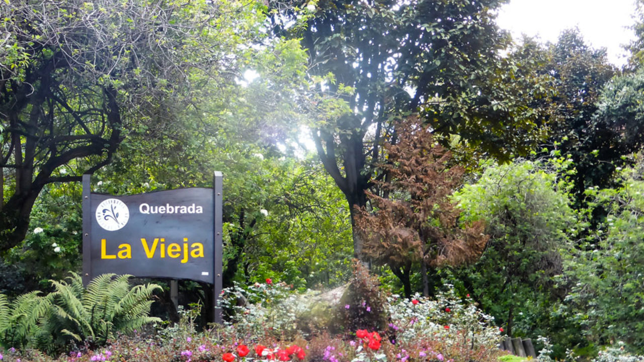 Hiking Bogota The Hills Are Alive With The Sound Of Walkers