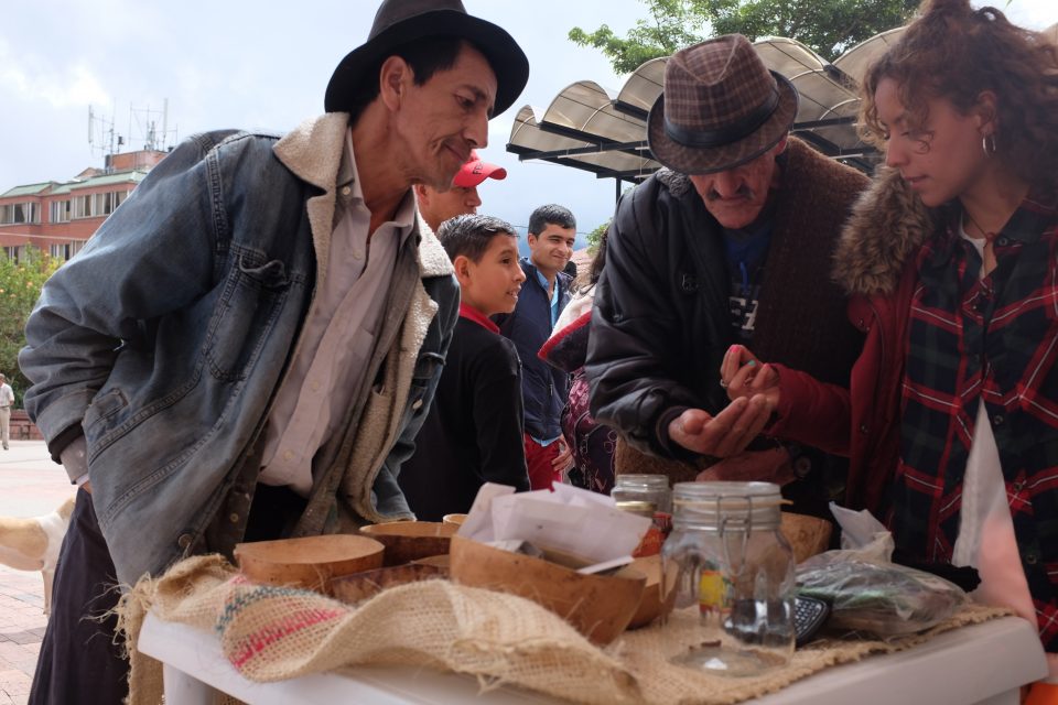 Carnaval del Maíz del Trueque y del Perdón