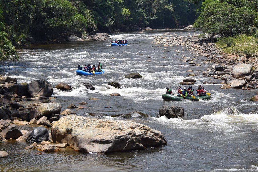 Fragile X, FARC rafters