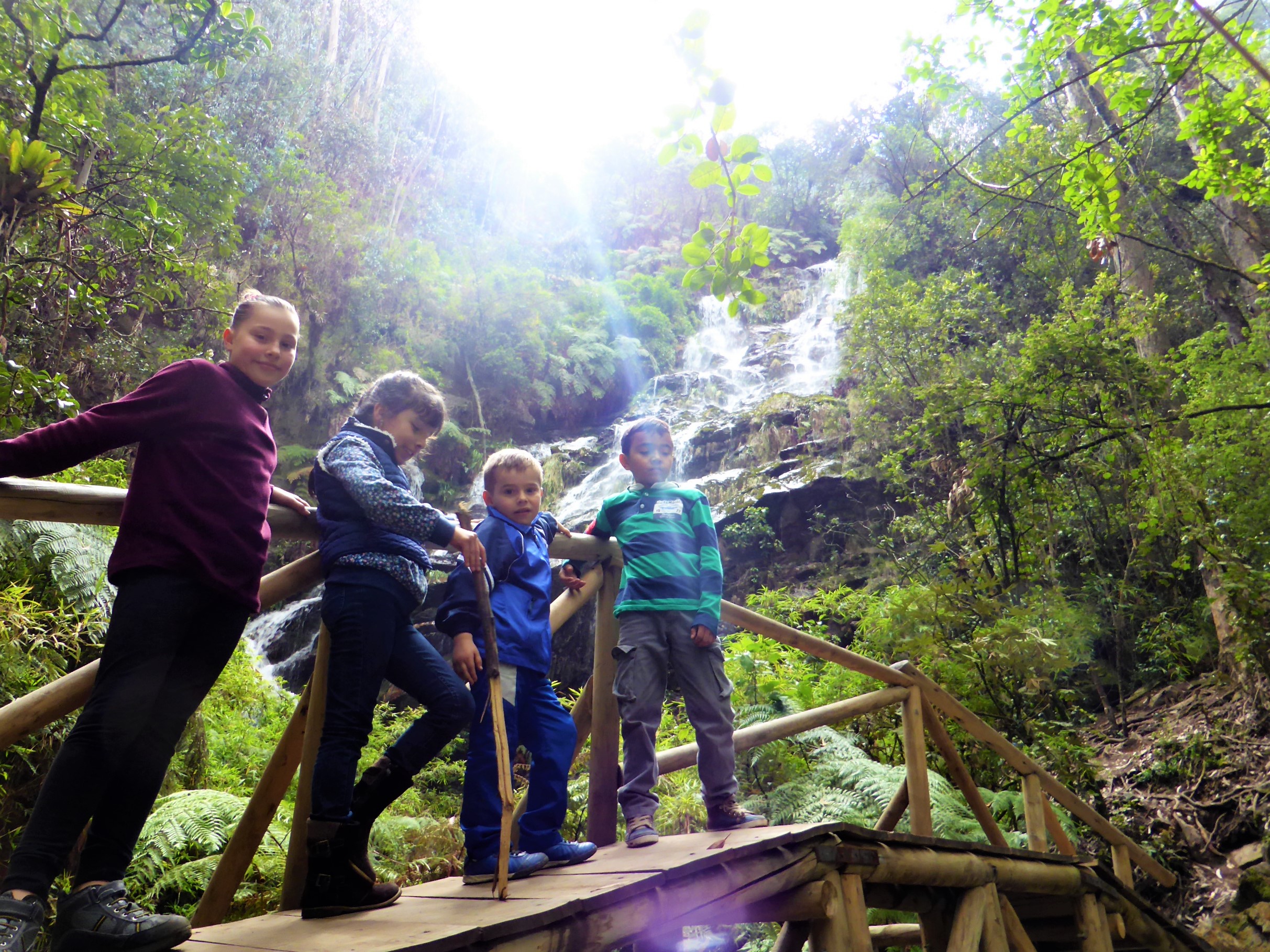 Quebrada La Delicias leads to a waterfall, and is a popular short hike for children. The trail was developed by the Bosque Calderón community with help from city authorities NGOs and is seen as model for public use in the Cerros Orientales. Photo: Steve Hide