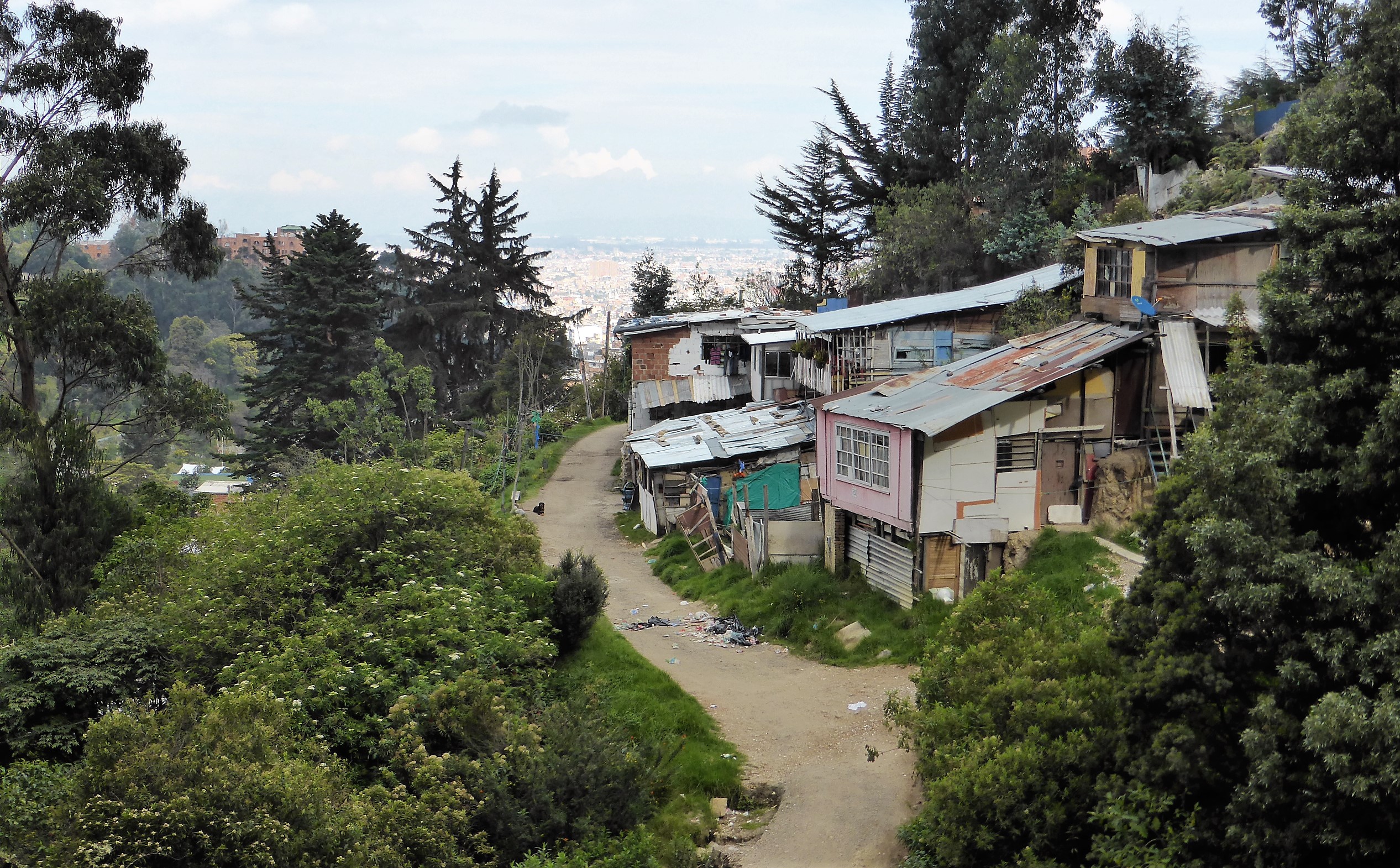 Barrio Bosque Calderon, high in the Cerros Orientales. Hiking in Bogotá