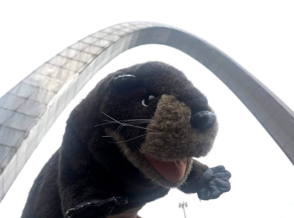 Otterly insane: Tan Grande y Jugando's mascot Kawa takes to Corferias