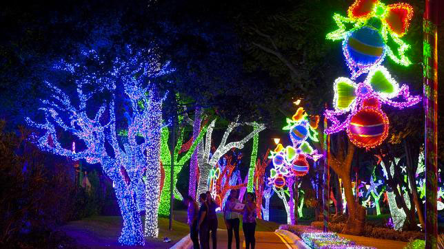 Christmas celebrations and lights in Colombia will be different from previous years. 