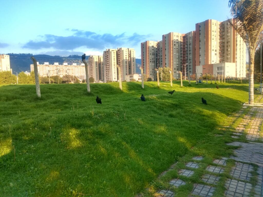 New lockdown measures in Bogotá.  