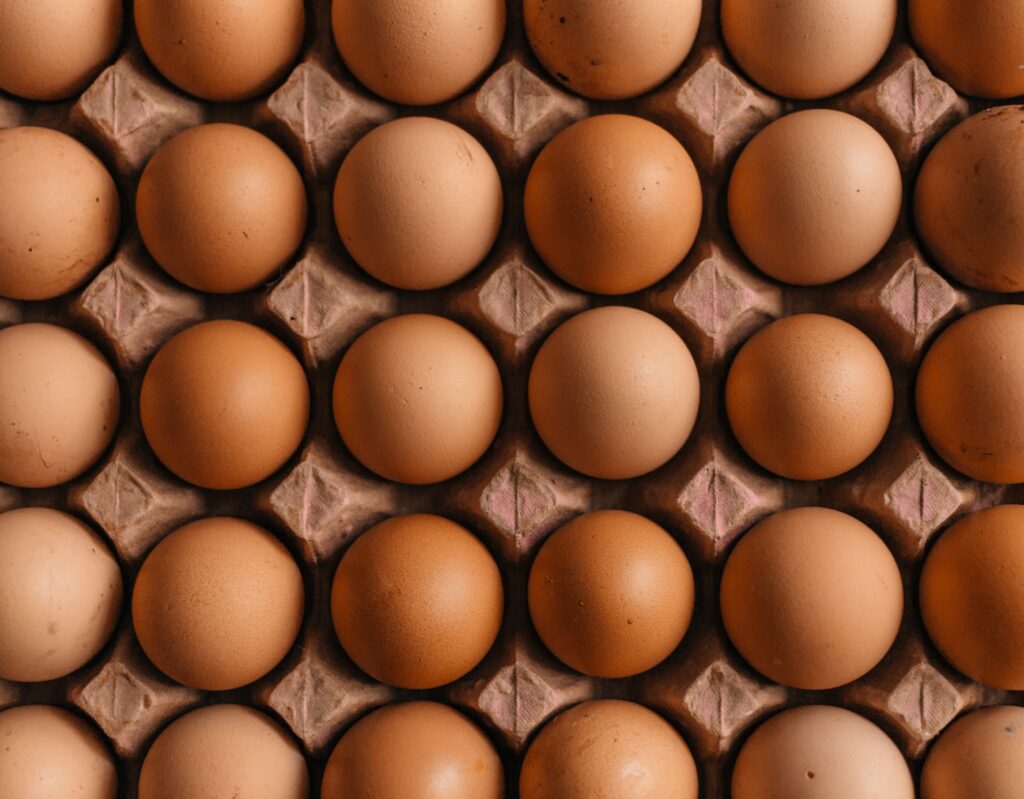 Colombia tax reform: Finance minister couldn't reproduce standard price of eggs. Photo by Erol Ahmed on Unsplash